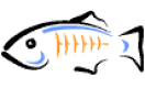 GlassFish Training in New Zealand