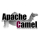 Apache Camel Training in New Zealand
