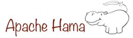 Apache Hama Training Courses