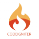 CodeIgniter Training in New Zealand