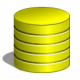 Database Training in New Zealand