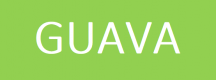 Guava Training in New Zealand