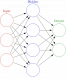 Neural Networks Training in New Zealand