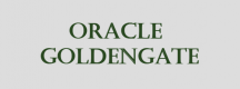 Oracle GoldenGate Training in New Zealand