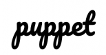 Puppet Training in New Zealand