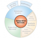 SSIS Training in New Zealand