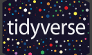 Tidyverse Training in New Zealand