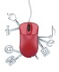 Web Services Training in New Zealand
